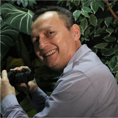 José Marrone
