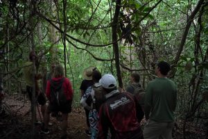 Turismo sostenible para beneficio de las comunidades