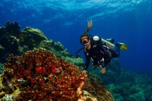 Concurso de Experiencias Innovadoras de Turismo Comunitario de Panamá impulsa el turismo sostenible y el desarrollo local​
