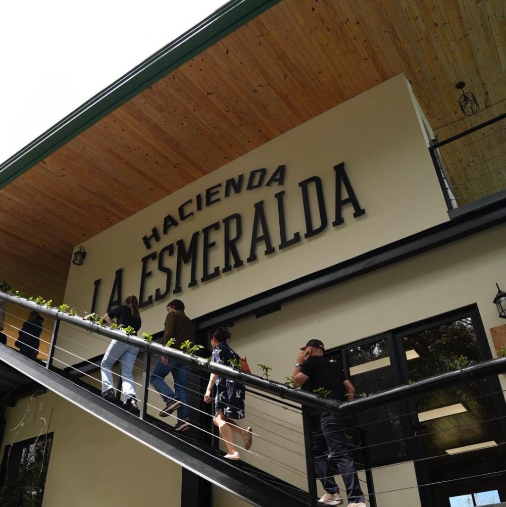 Récord histórico del café Panamá Geisha en la subasta anual “The Best of Panama Auction2025”.
