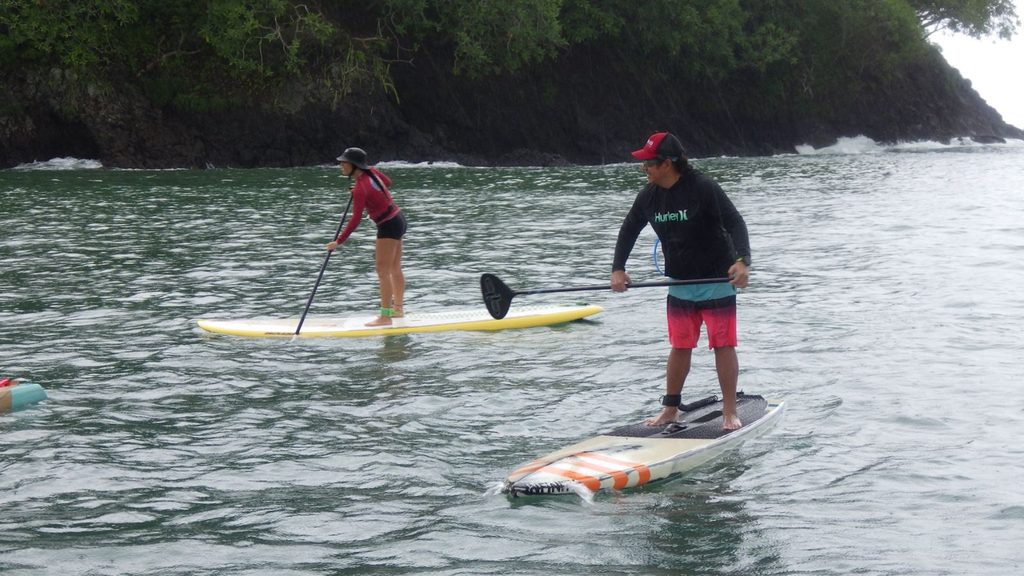 Nueve kilómetros de remo por las tortugas marinas.