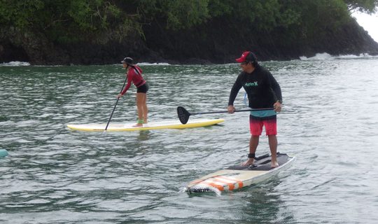 Nueve kilómetros de remo por las tortugas marinas.
